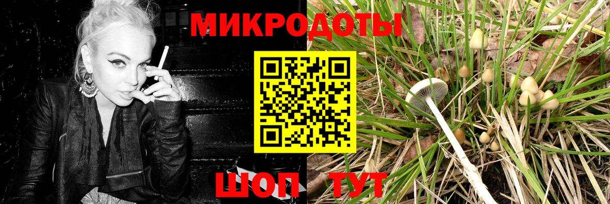 Изобильный  Галлюциногенные грибы мухоморы  где можно купить   Вход с VPN 